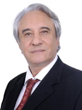 Saraiva Felipe