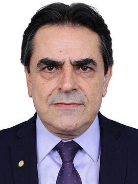 Domingos Sávio