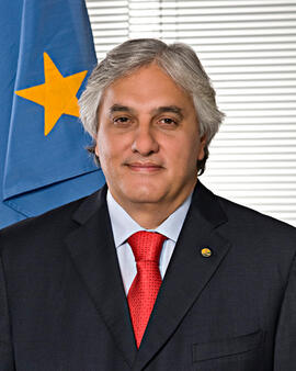 Delcídio do Amaral